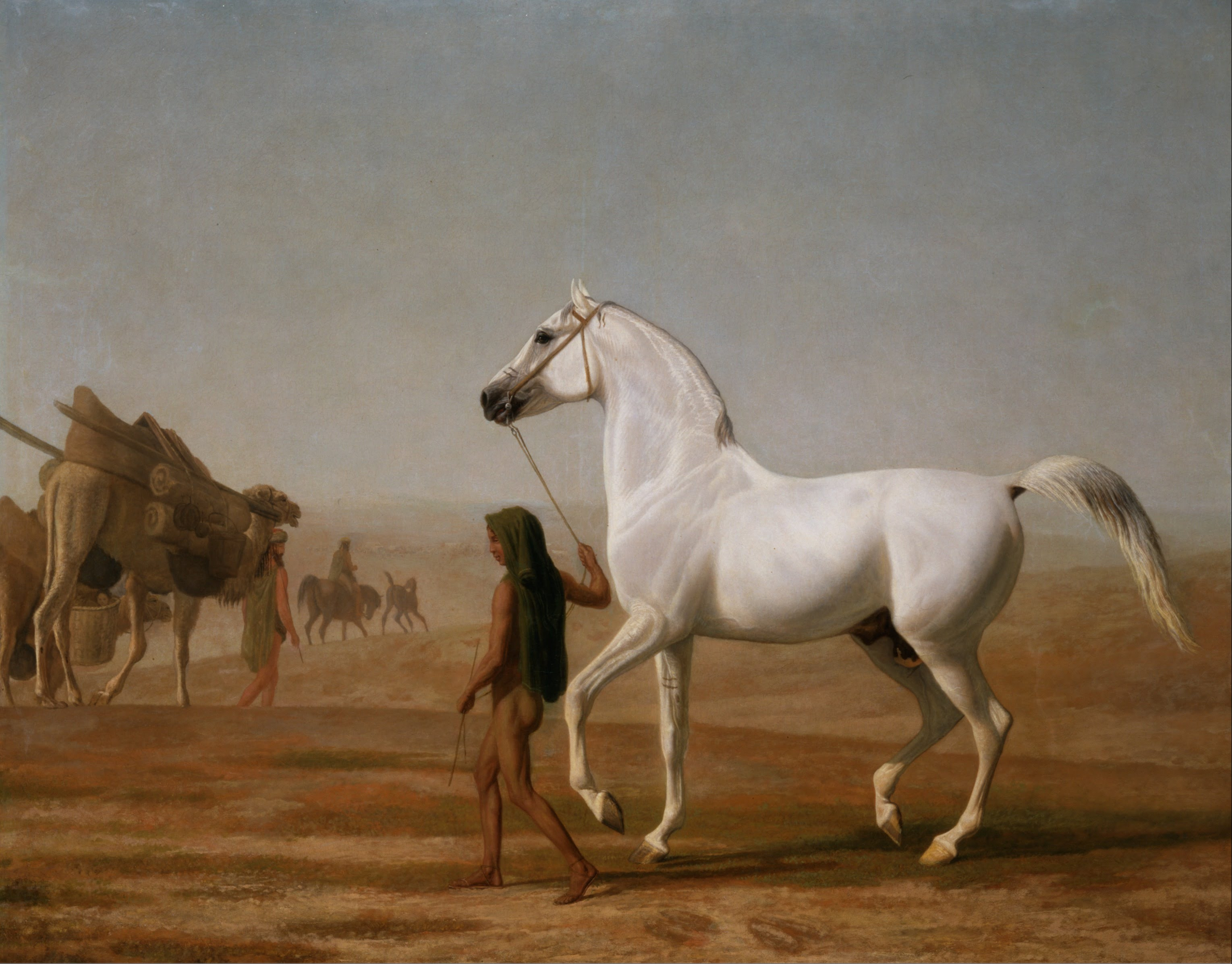The Wellesley Grey Arabian Led Through The Desert by Jacques-Laurent Agasse
