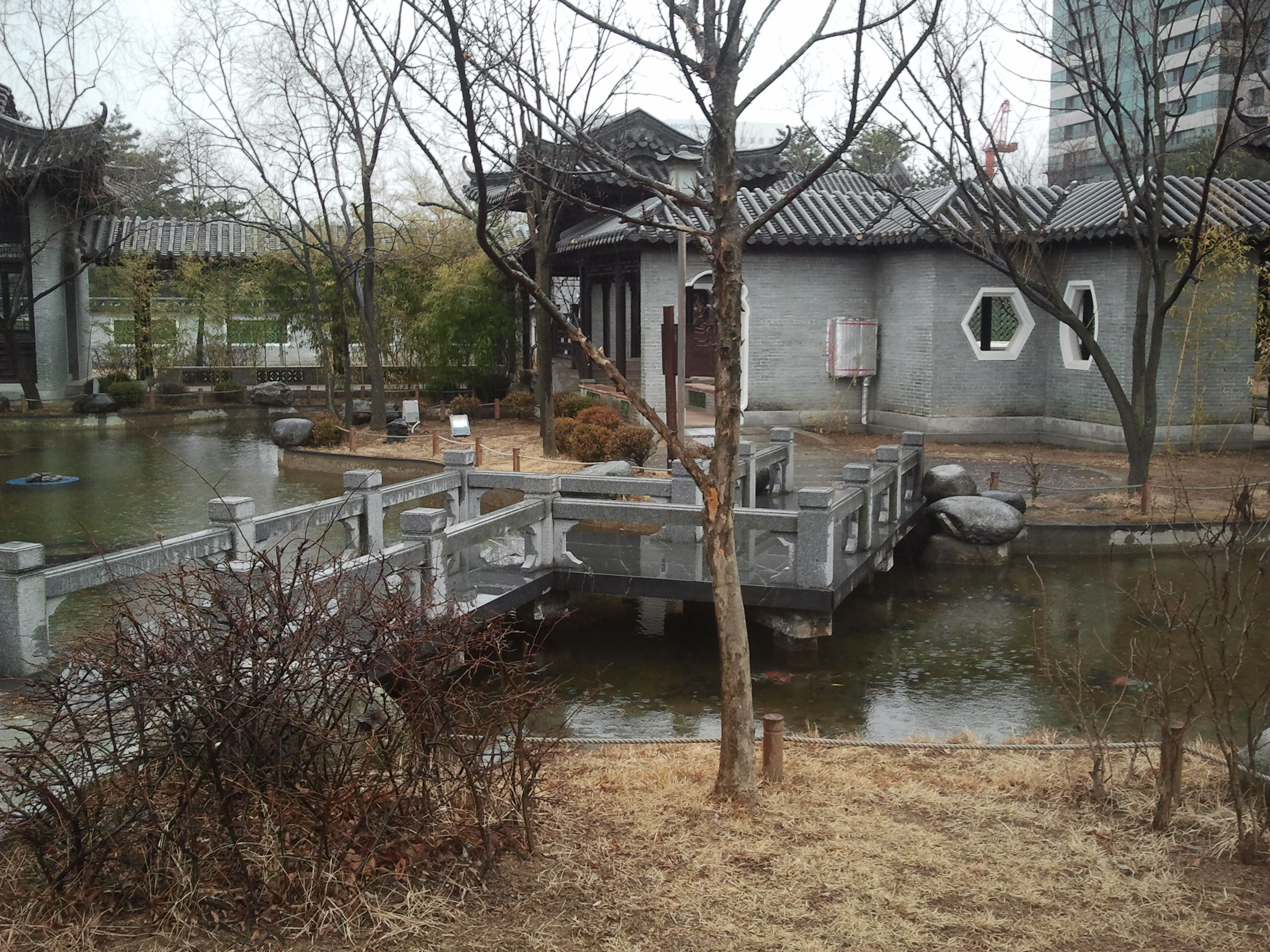 Tradition vs modernity